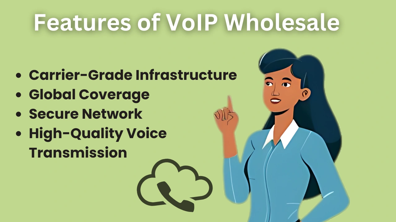 Features of VoIP Wholesale